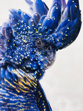 Load image into Gallery viewer, Benny Black