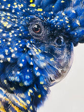 Load image into Gallery viewer, Benny Black