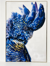 Load image into Gallery viewer, Benny Black