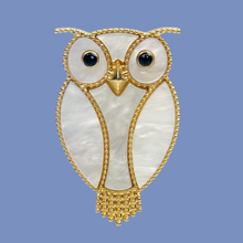 Load image into Gallery viewer, Owen Brooch
