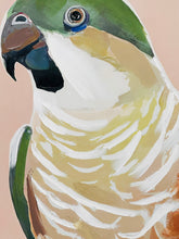 Load image into Gallery viewer, Roger Prasine Cocky
