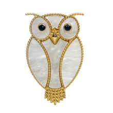 Load image into Gallery viewer, Owen Brooch
