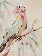 Load image into Gallery viewer, Polly Pink Galah
