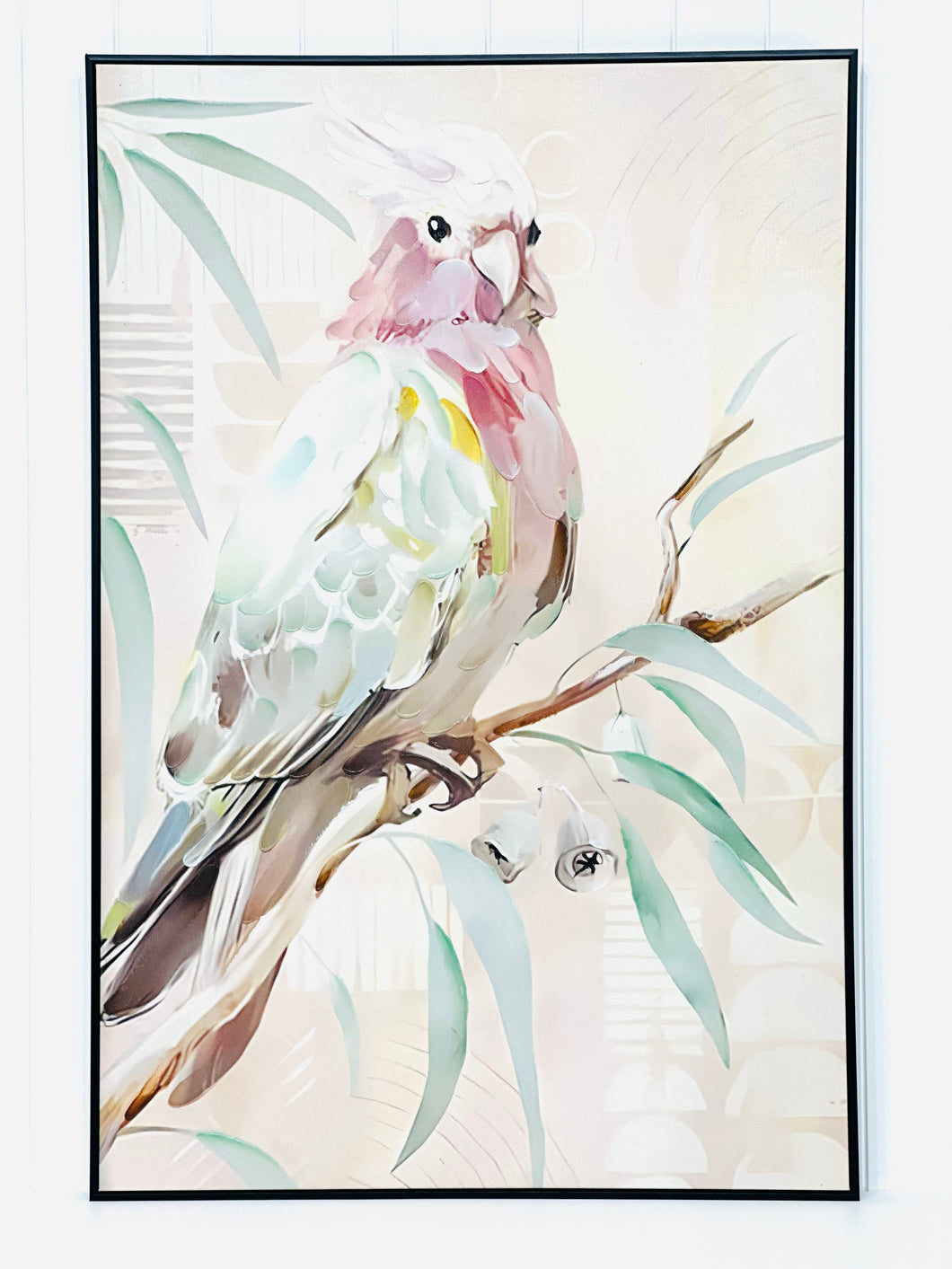 Polly Pink Galah
