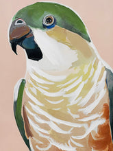 Load image into Gallery viewer, Roger Prasine Cocky
