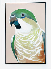 Load image into Gallery viewer, Roger Prasine Cocky
